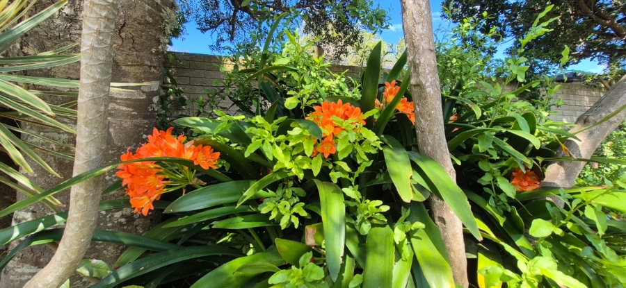 2 Bedroom Property for Sale in Cosy Corner Eastern Cape